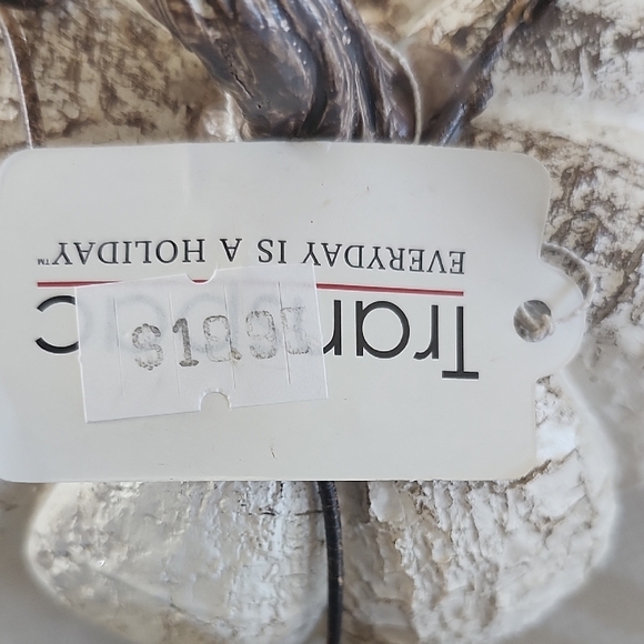 TAG Rustic Cream Pumpkin Decor - Picture 6 of 6